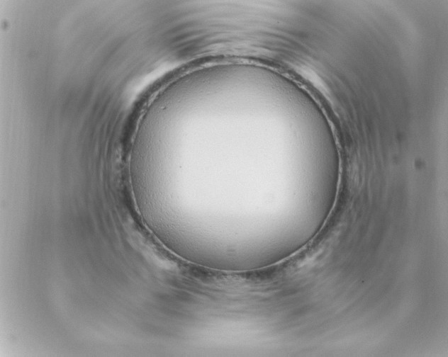 X0000088620971200706151848