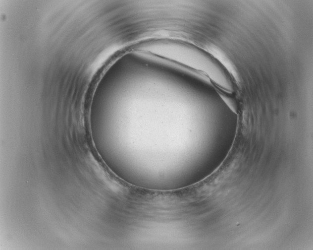 X0000088620972200706151848