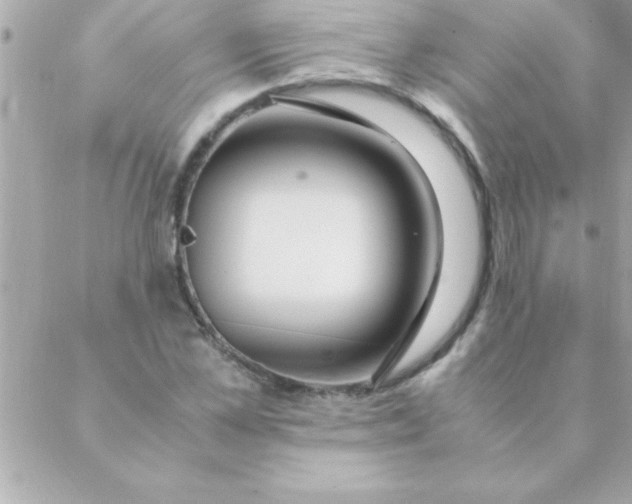 X0000088620973200706151848