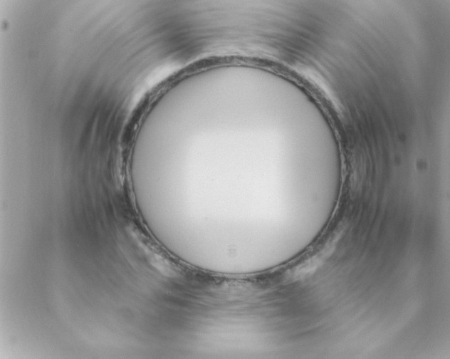 X0000088620974200706151848