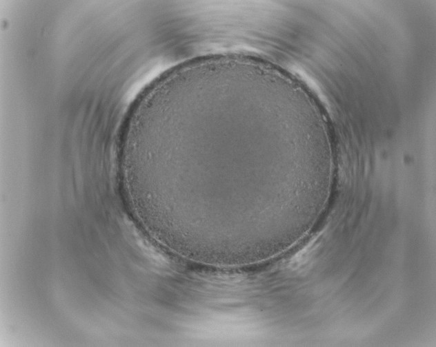 X0000088620975200706151848