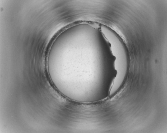 X0000088620976200706151848