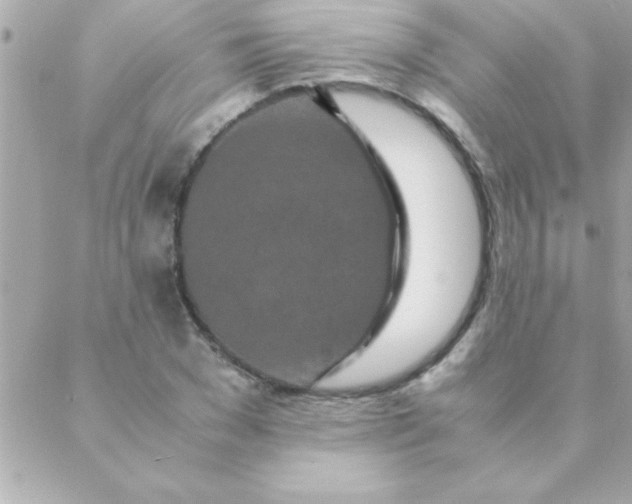 X0000088620977200706151848