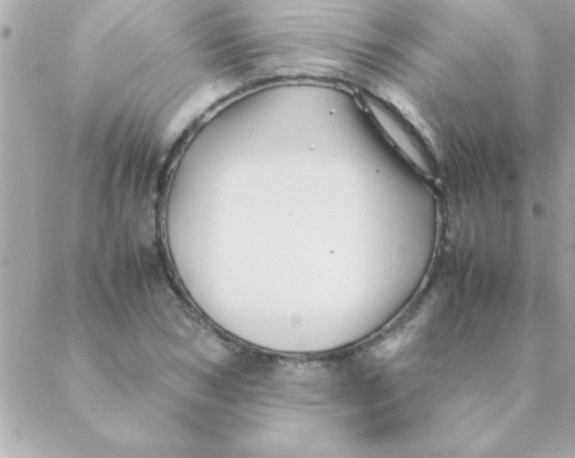 X0000088620978200706151848