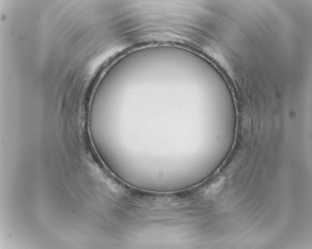 X0000088620979200706151848