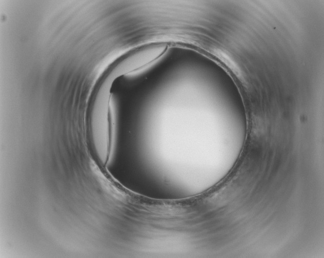 X0000088620980200706151848