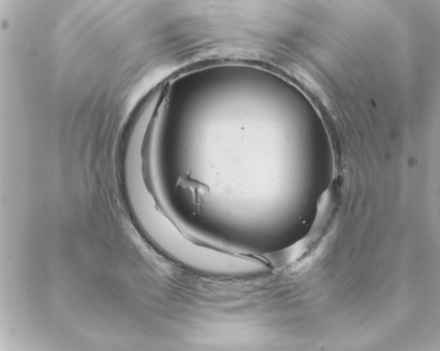 X0000088620981200706151848