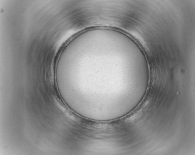 X0000088620982200706151848