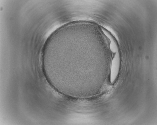 X0000088620983200706151848