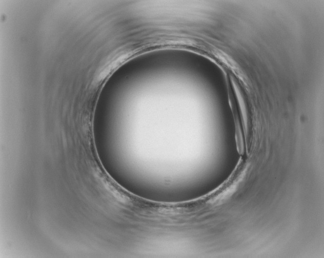 X0000088620985200706151848