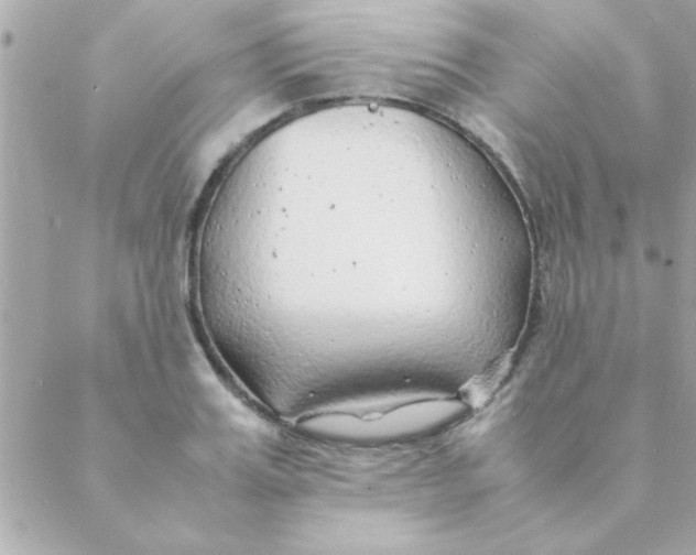 X0000088620987200706151848