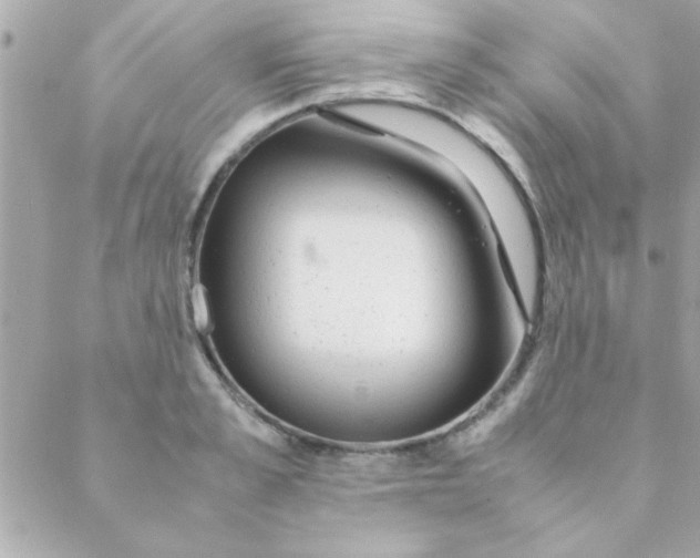 X0000088620989200706151848