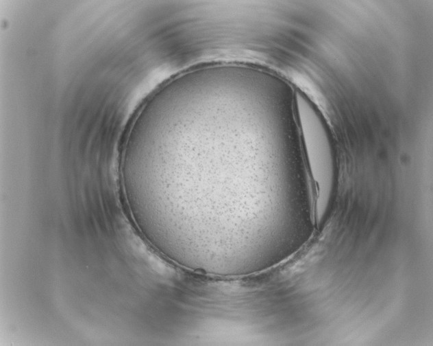 X0000088620990200706151848