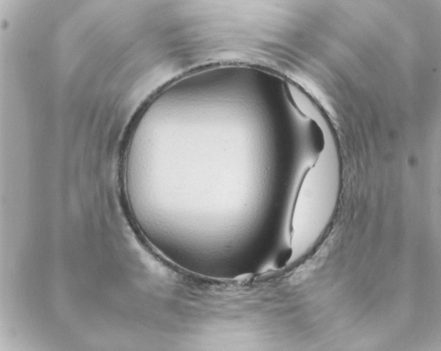 X0000088620991200706151848