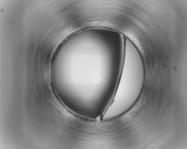 X0000088620992200706151848