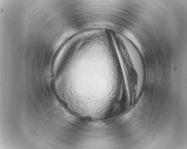 X0000088620994200706151847