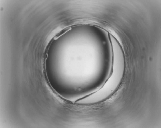 X0000088620997200706151847