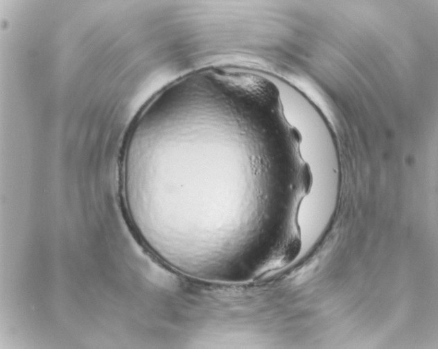 X0000088620999200706151847