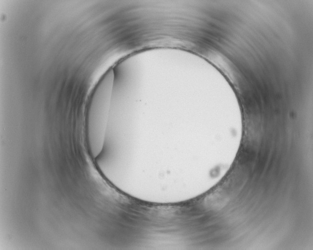 X0000088621000200706151847