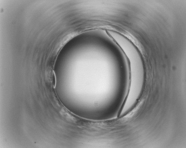 X0000088621001200706151847