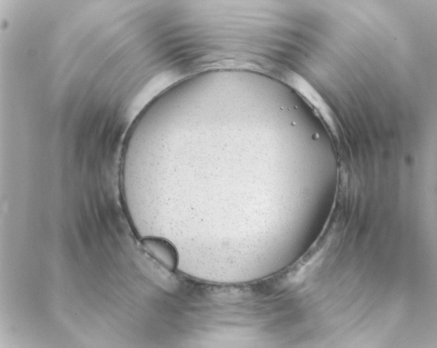 X0000088621002200706151847