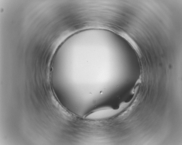 X0000088621004200706151847