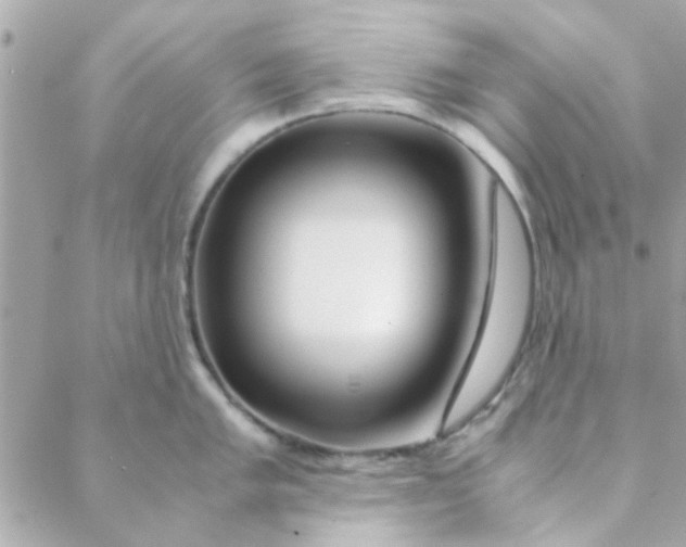 X0000088621005200706151847