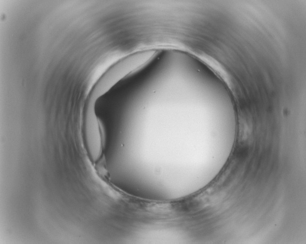 X0000088621006200706151847