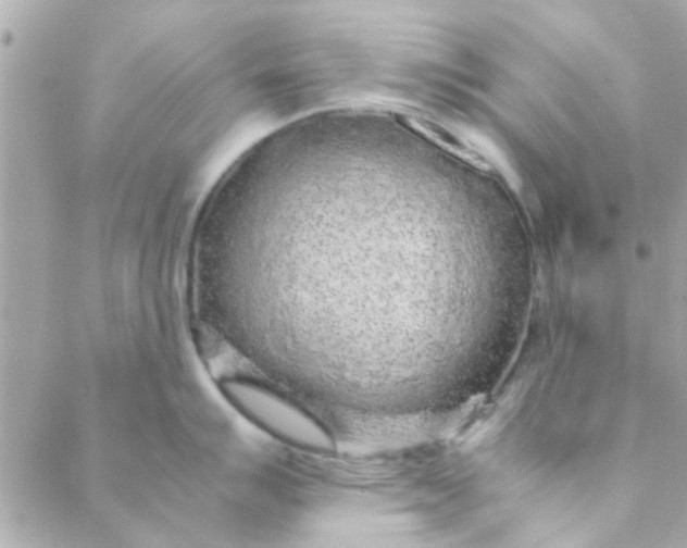 X0000088621007200706151847