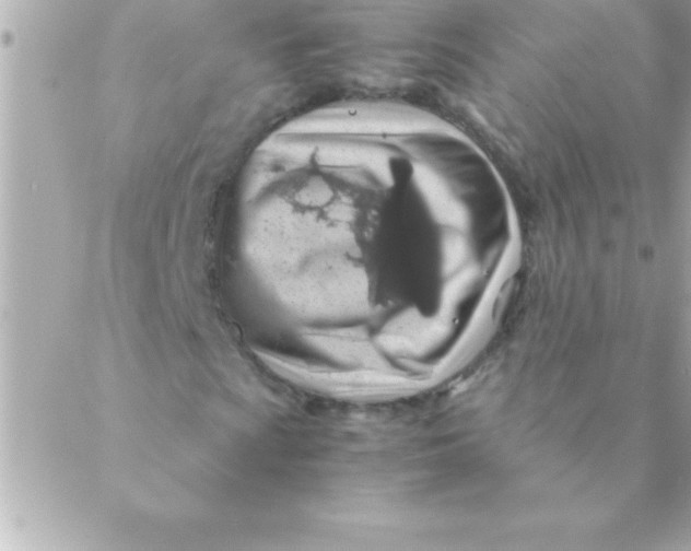 X0000088621009200706151846