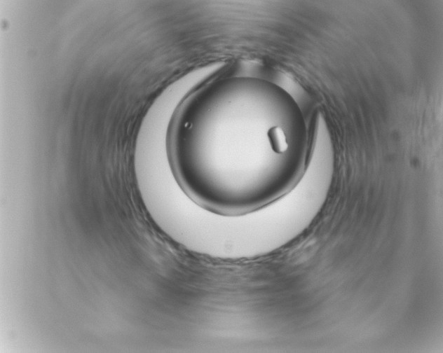 X0000088621010200706151846