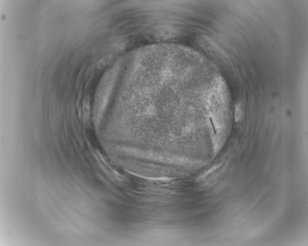 X0000088621011200706151846