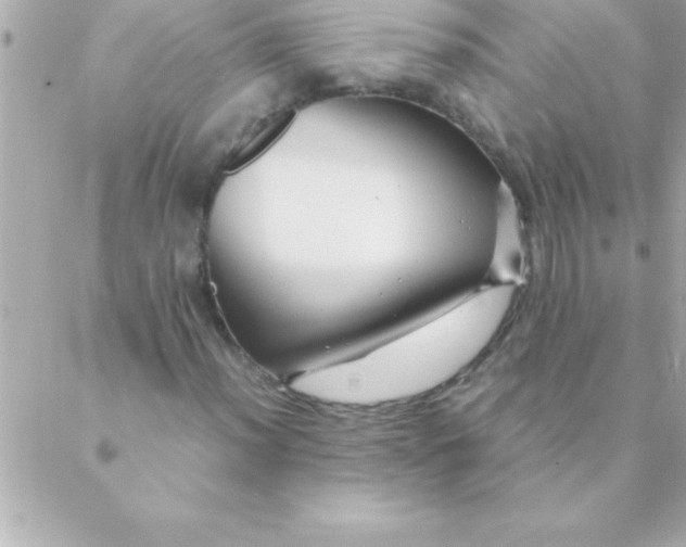 X0000088621012200706151847