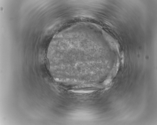 X0000088621014200706151847