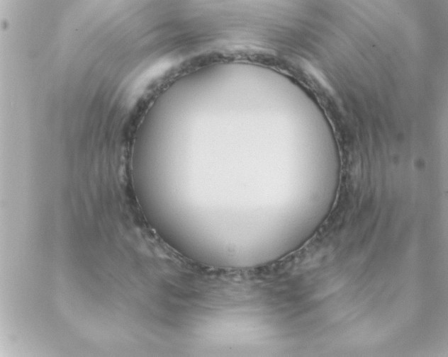 X0000088621016200706151847