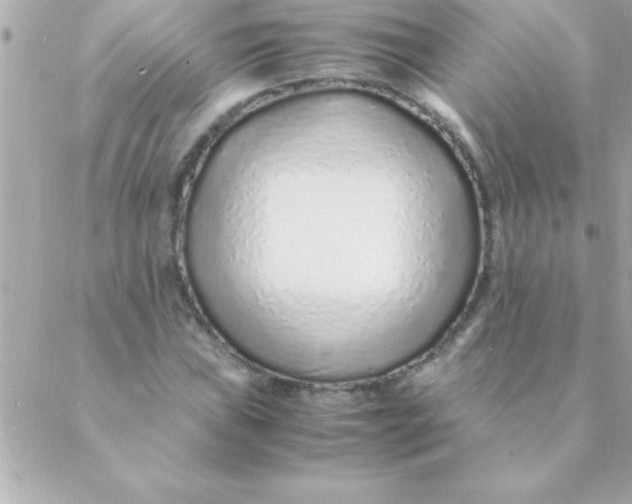 X0000088621019200706151847