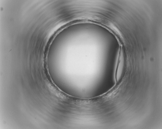 X0000088621020200706151847