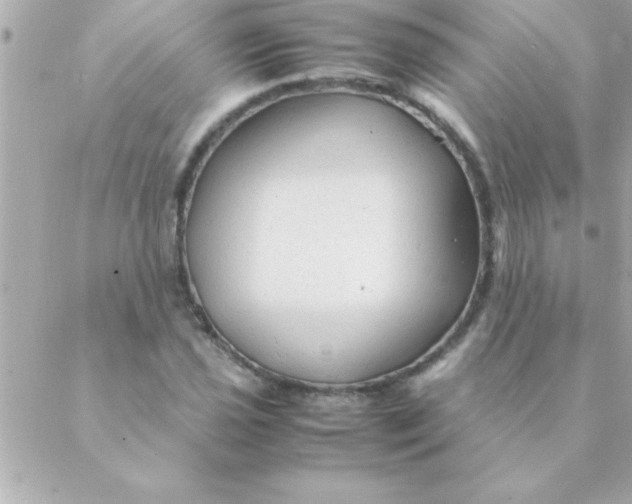 X0000088621021200706151847