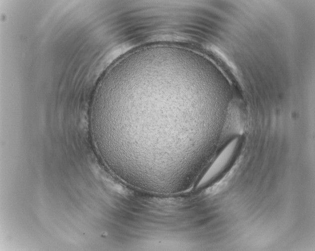 X0000088621025200706151847