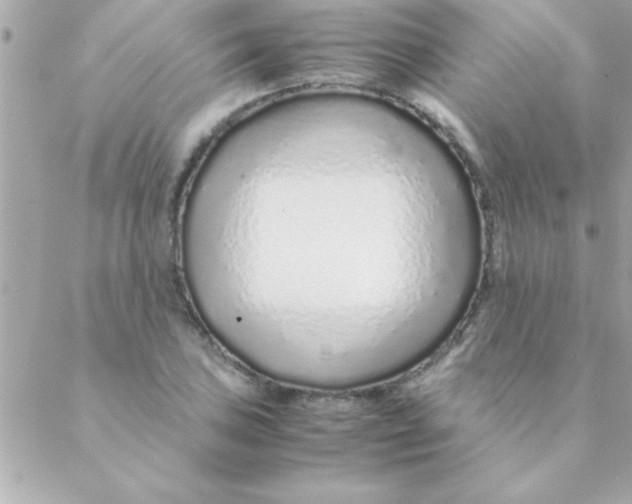 X0000088621027200706151847