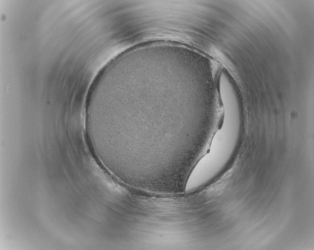 X0000088621028200706151847