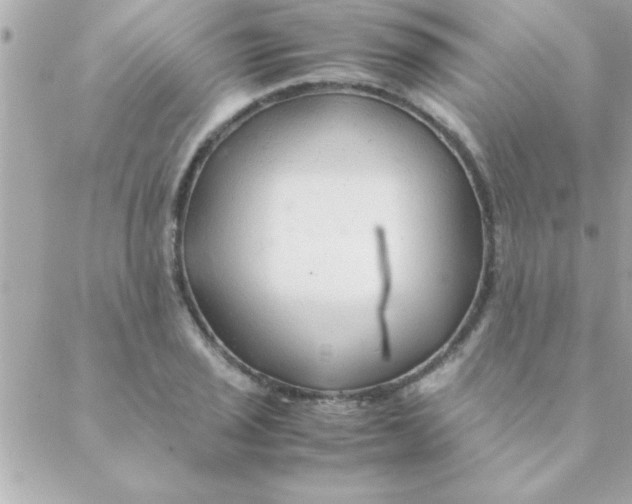 X0000088621029200706151847