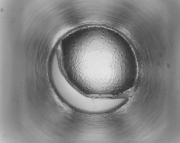 X0000088621030200706151847