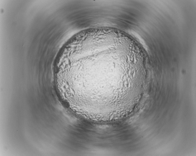 X0000088621031200706151847