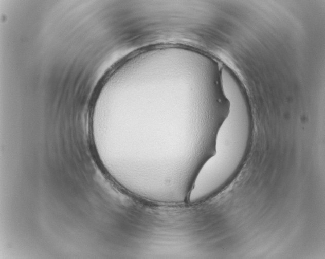 X0000088621032200706151847