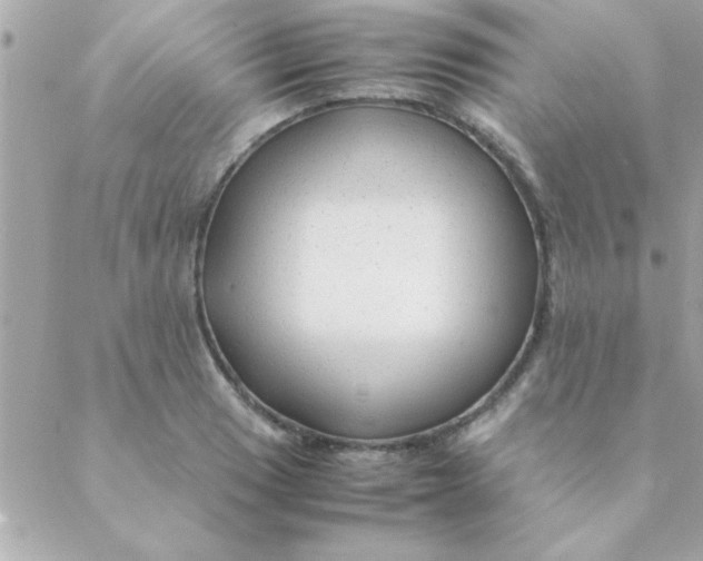 X0000088621033200706151847