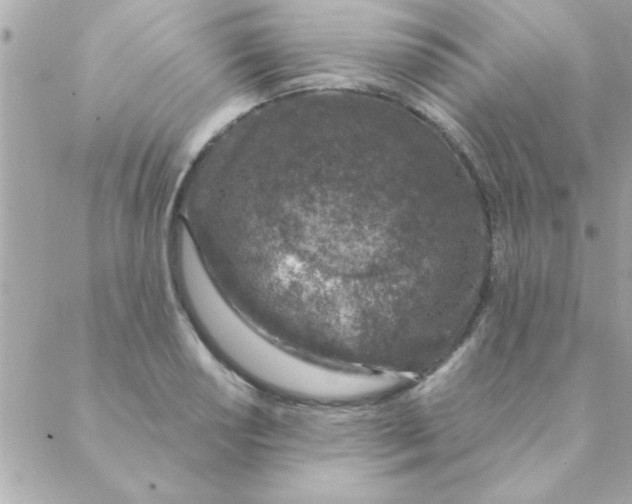 X0000088621034200706151847