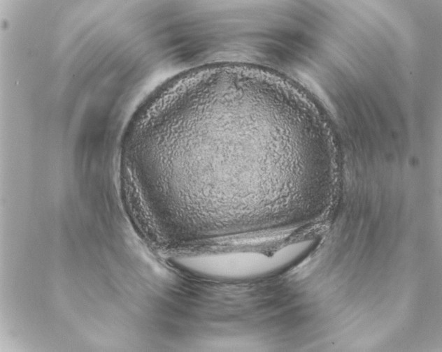 X0000088621035200706151847