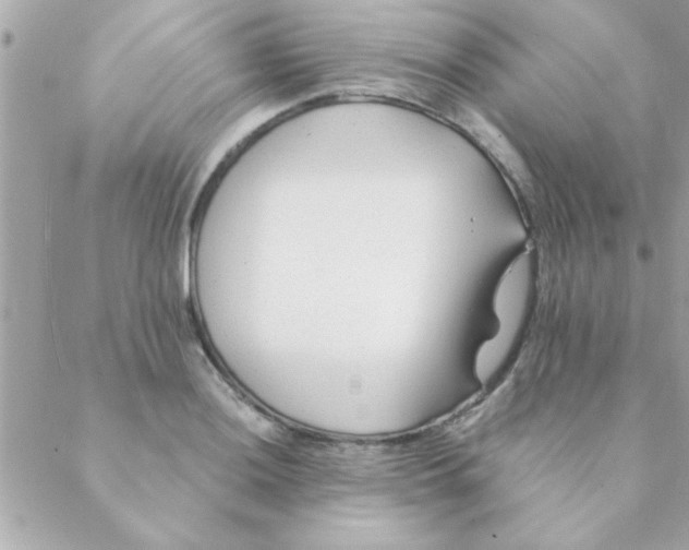 X0000088621036200706151847