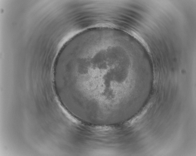 X0000088621037200706151847